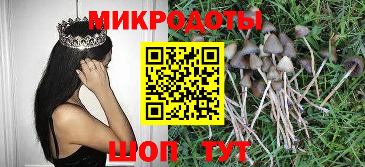 Галлюциногенные грибы GOLDEN TEACHER  Вход с VPN  Гусиноозёрск 